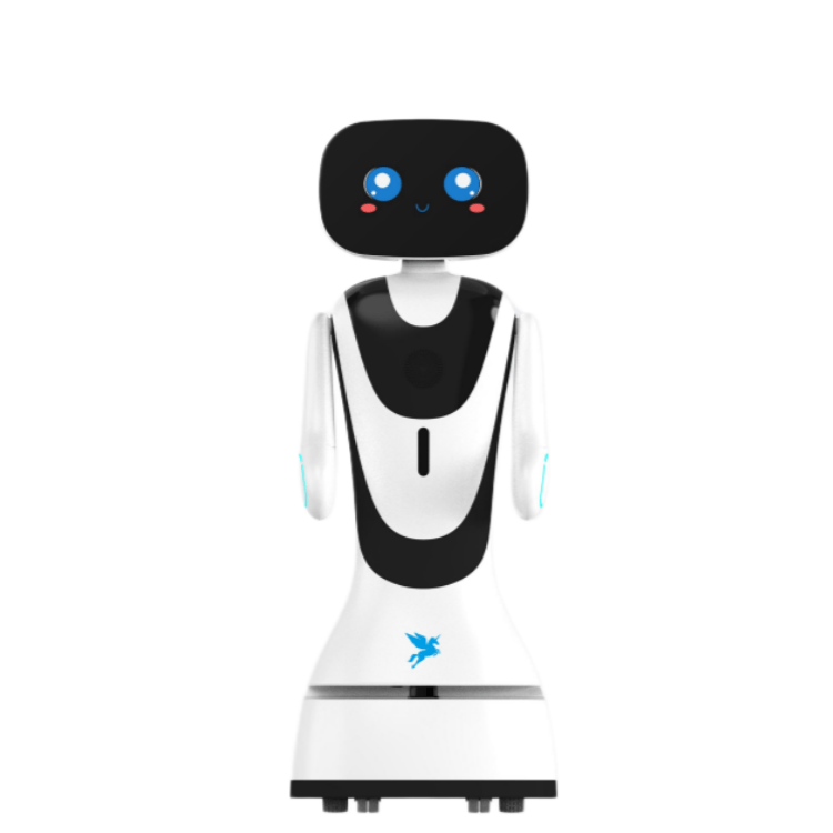 Hotel Lobby Service robot