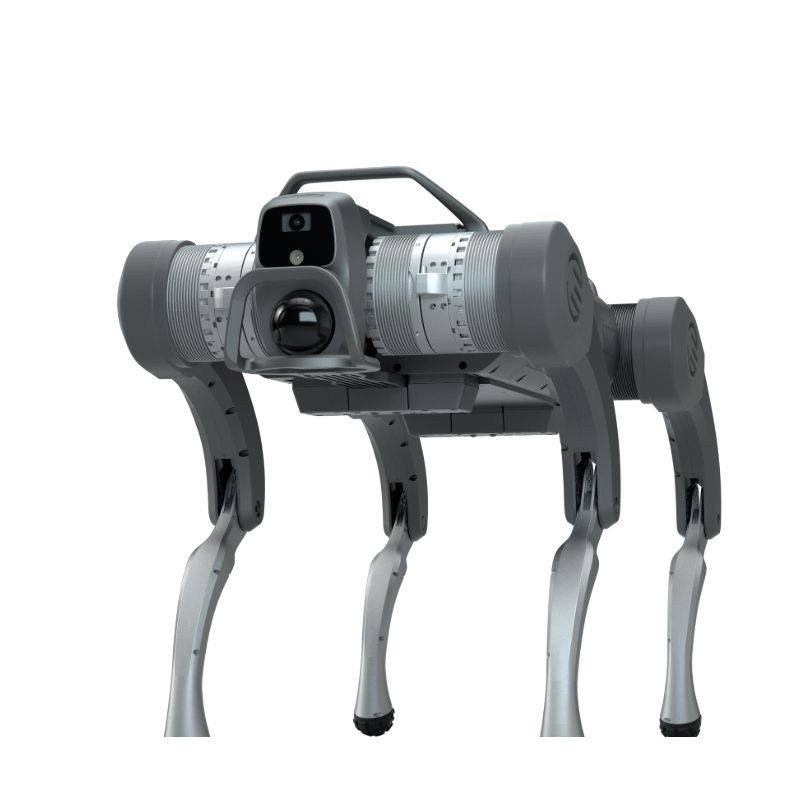 Nyílt forráskódú négylábú robotkutya